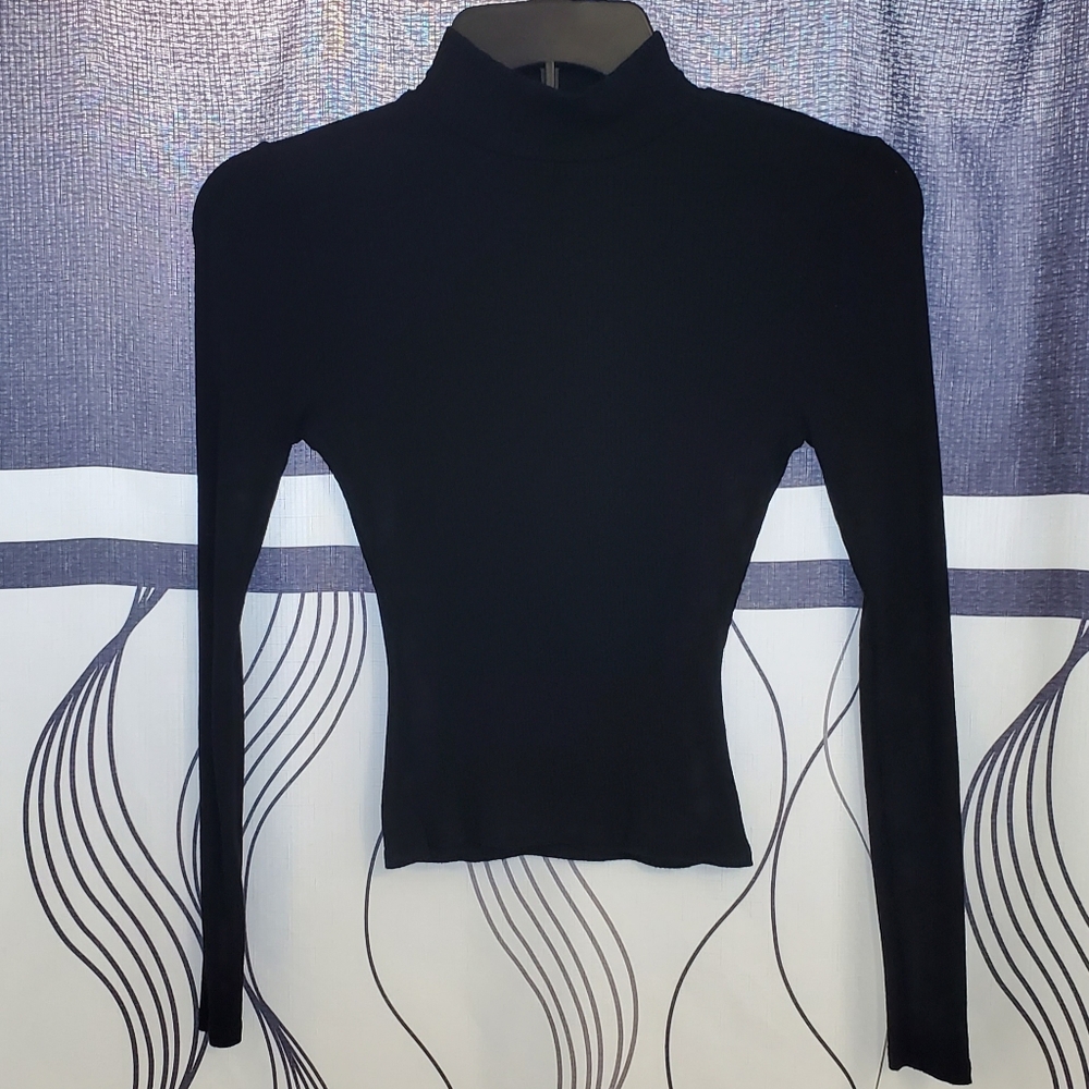 Windsor Ribbed Knit Mock Neck Long Sleeve Crop